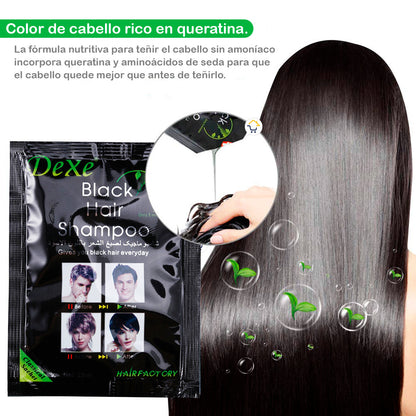 Shampoo cubre canas BlackHair - Caja x10