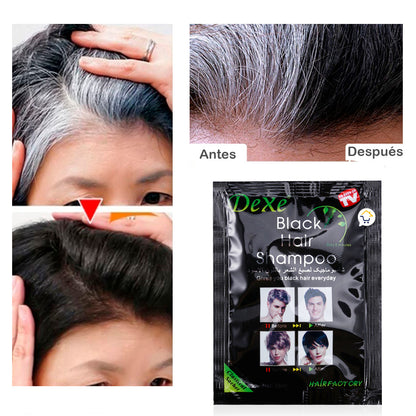 Shampoo cubre canas BlackHair - Caja x10