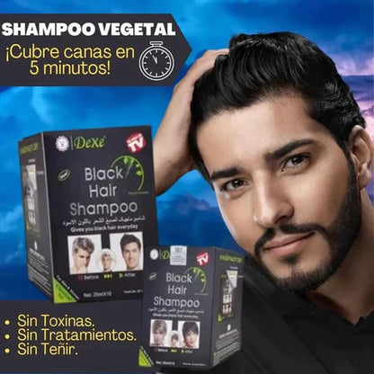 Shampoo cubre canas BlackHair - Caja x10